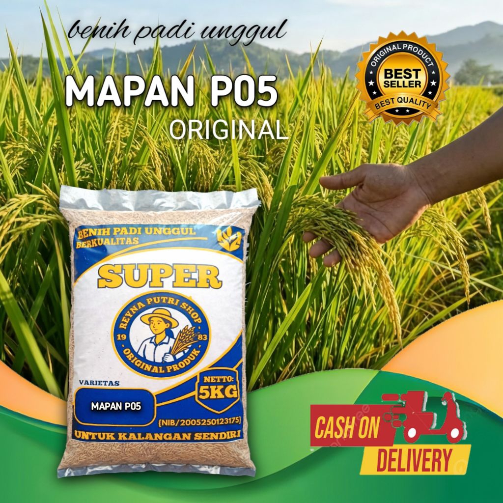 benih padi mapan p-05 original 5kg