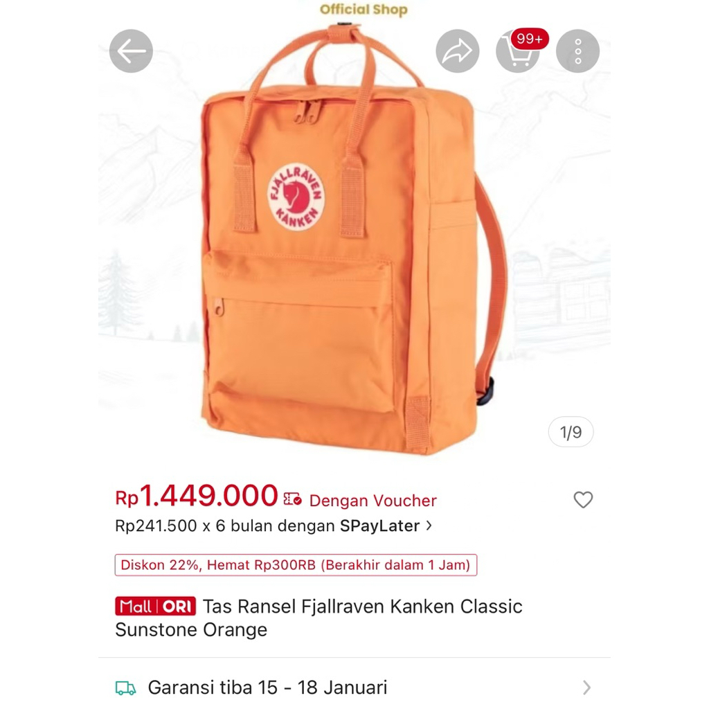 preloved ransel fjallraven kanken pemakaian pribadi