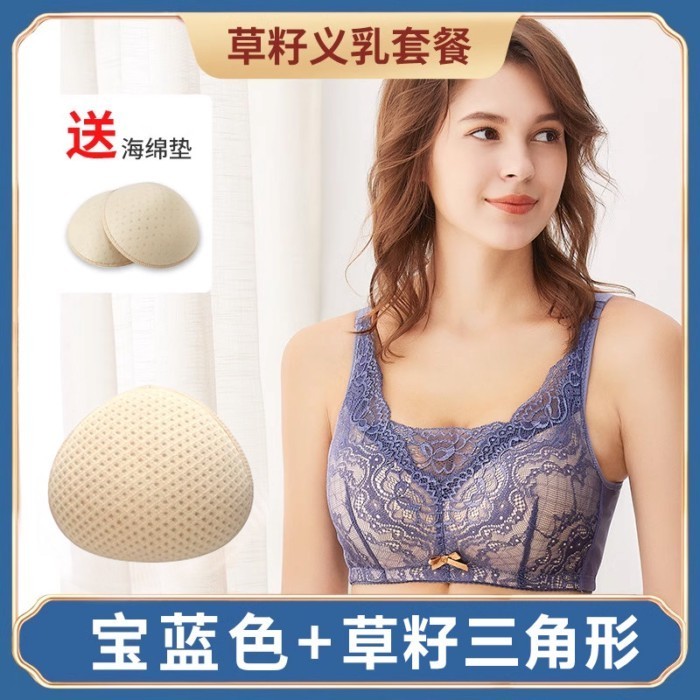 Benih rumput prostetik payudara operasi kanker payudara pakaian dalam khusus bra payudara palsu bra 