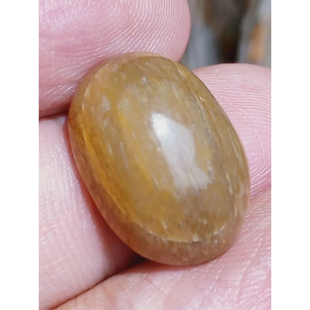 Batu Fosill Kelor Kristal Puser Bumi Mata Dewa