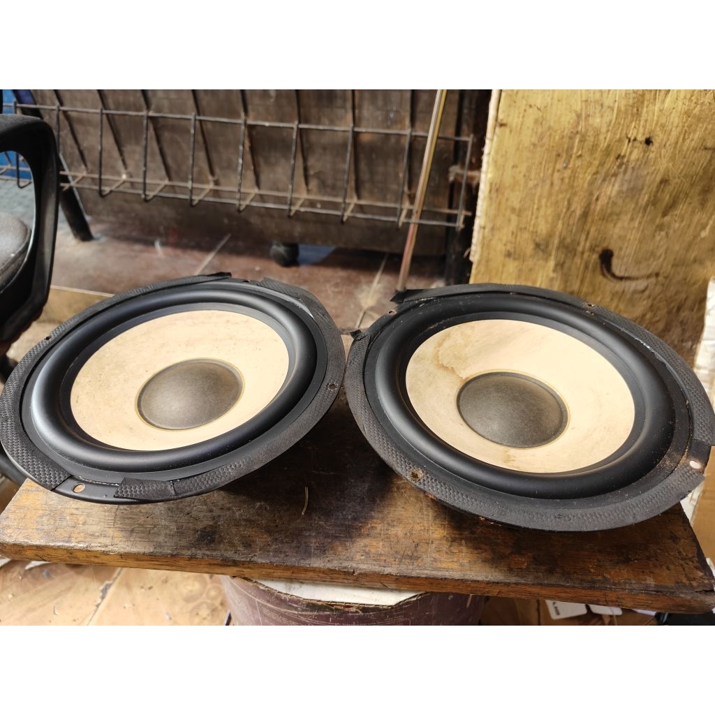 speaker subwoofer pasif Polytron pas 12