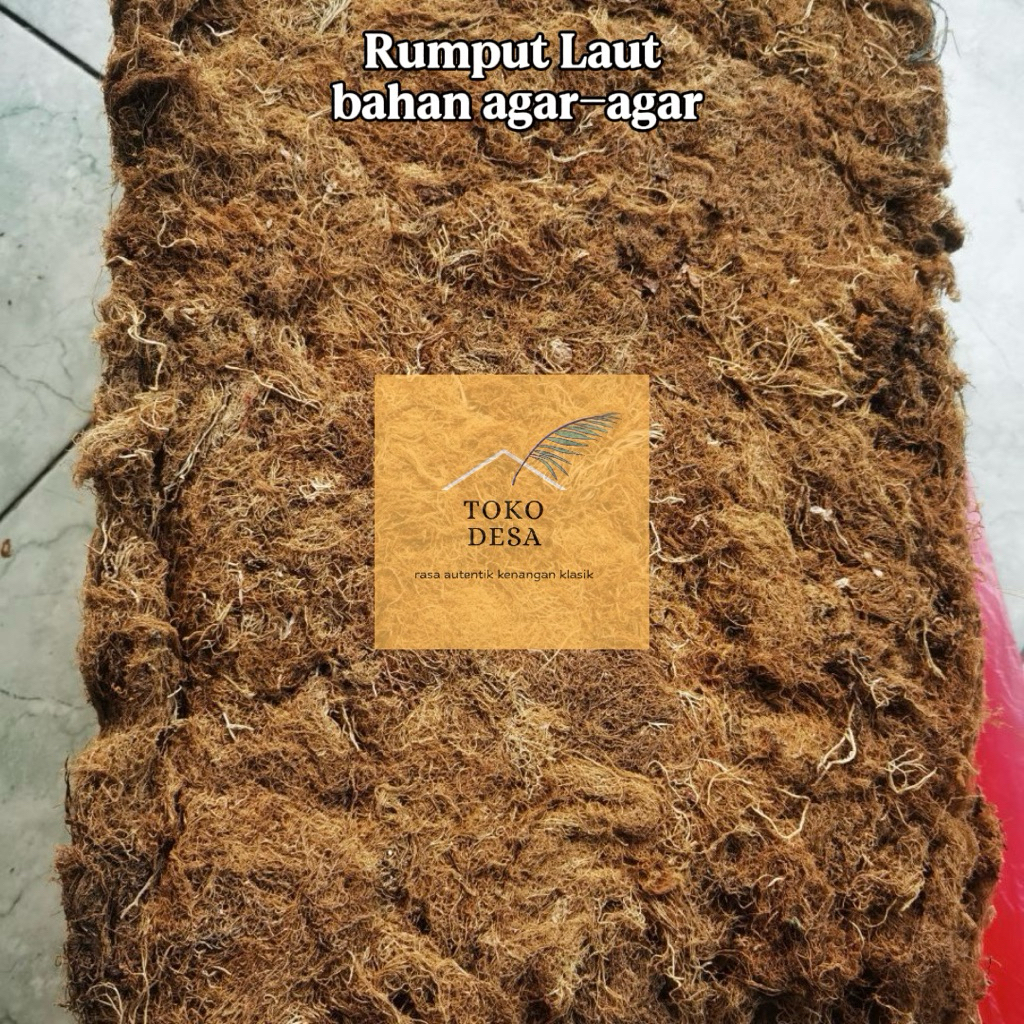 RUMPUT LAUT kering bahan agar agar 250 gram