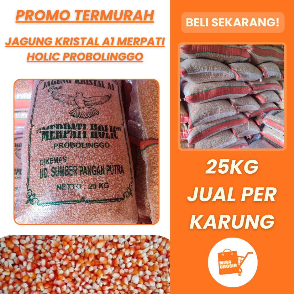 [KEMASAN KARUNG] Jagung Kristal A1 Merpati Holic 25kg Pakan Burung Merpati