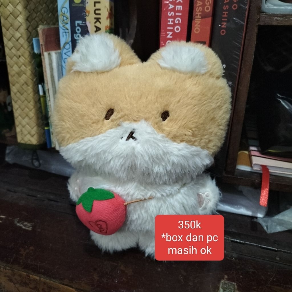 teolaegi baekhyun 20cm