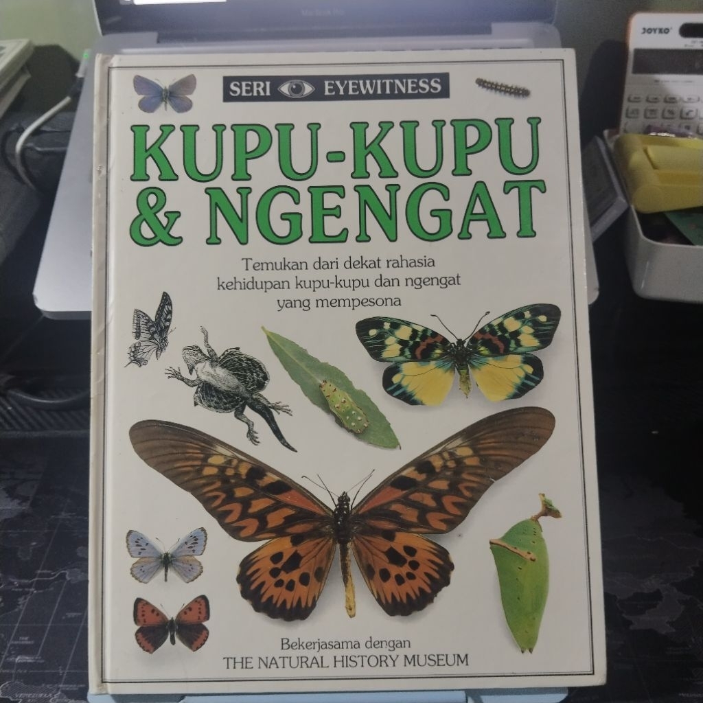 Buku anak Seri Eyewitness KUPU - KUPU & NGENGAT
