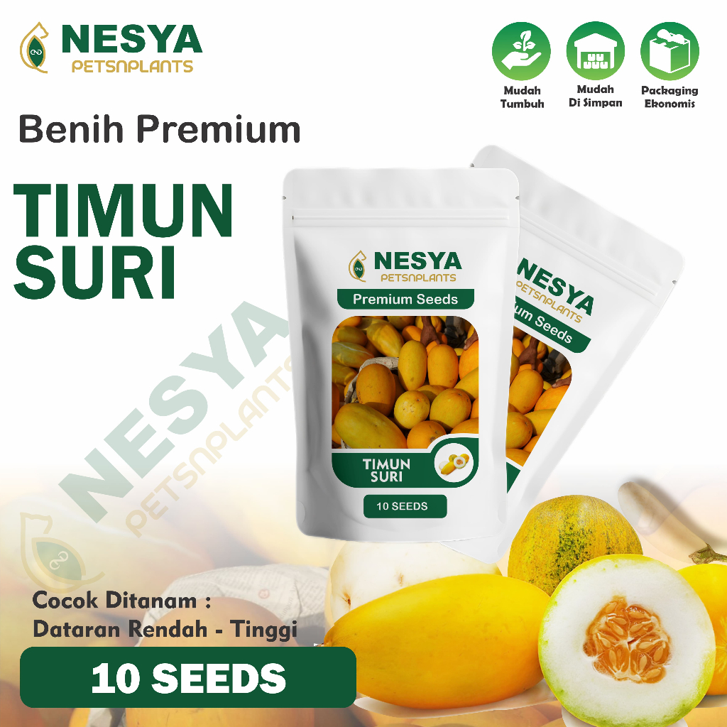 10 Benih Timun Suri Benih Timun Suri