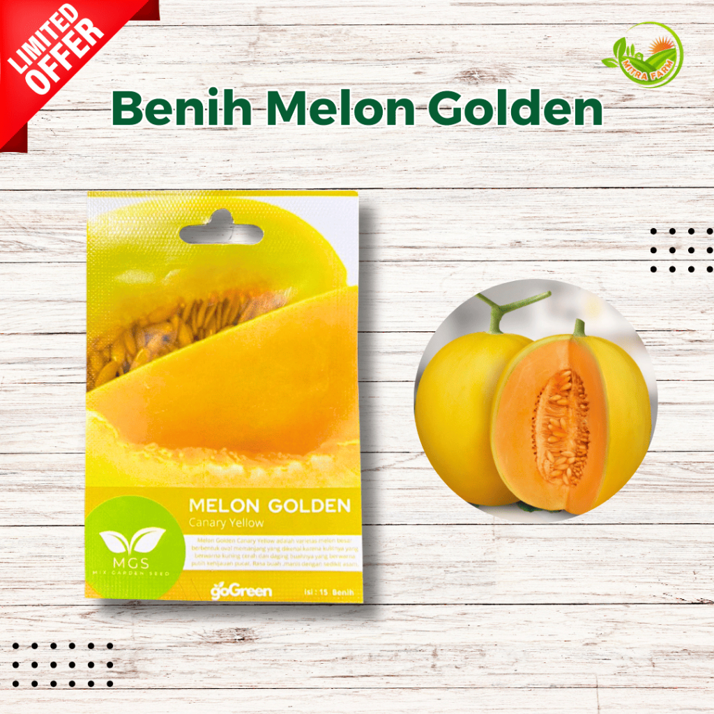 Benih Melon Golden Canary Yellow MGS-Benih Melon Golden Isi 15-Benih Melon Merek MGS Varietas Golden
