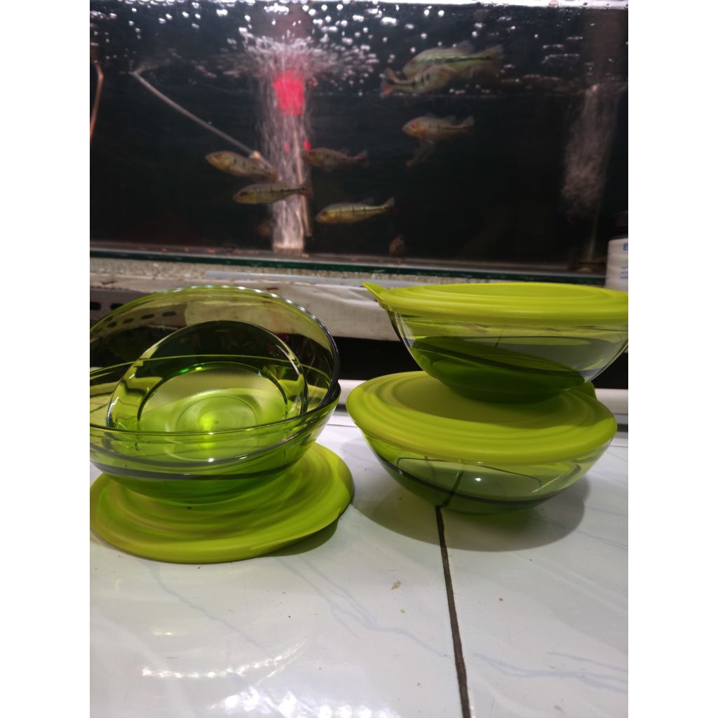 Eleganzia bowl Tupperware // Mangkok Tupperware