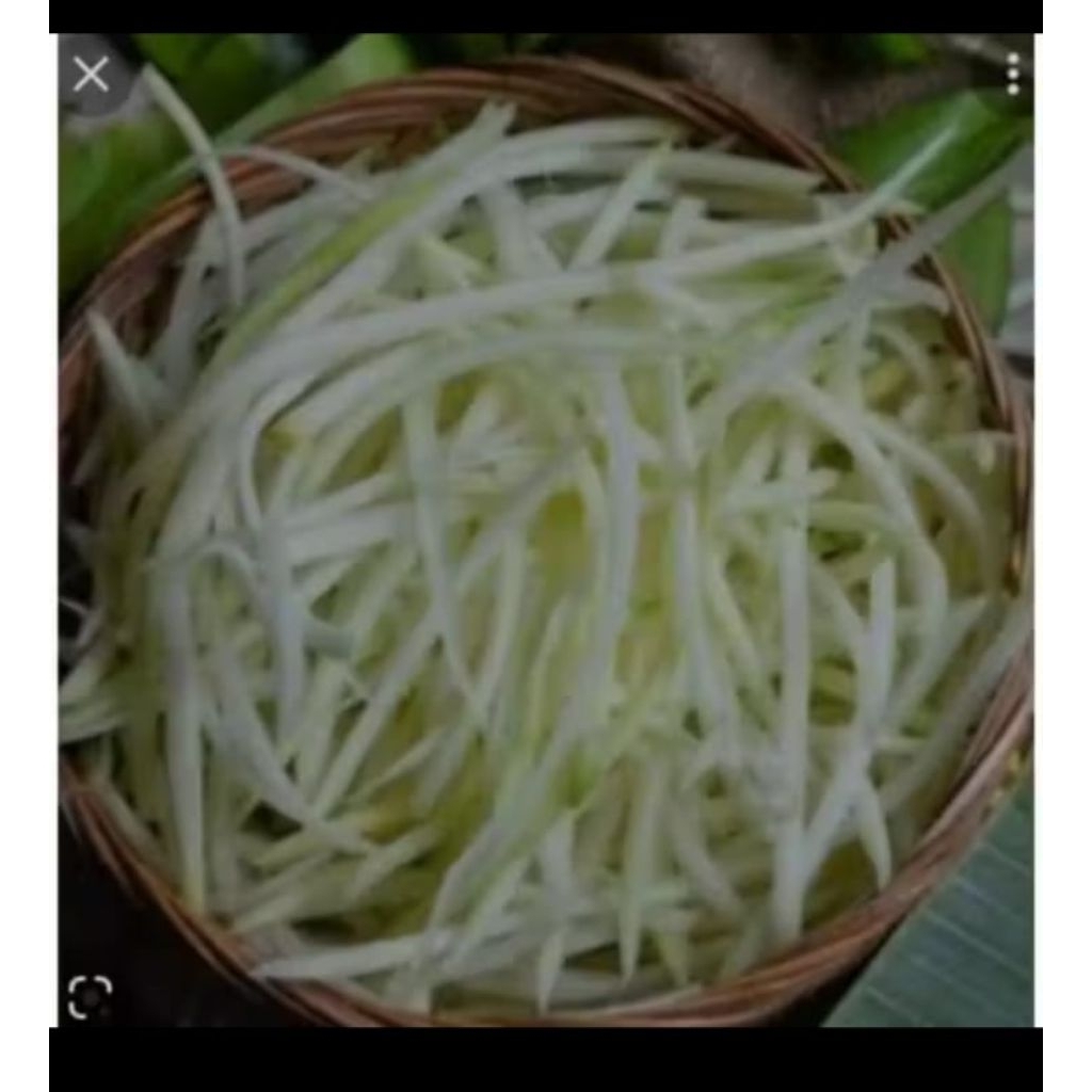 pepaya muda serut 250gr