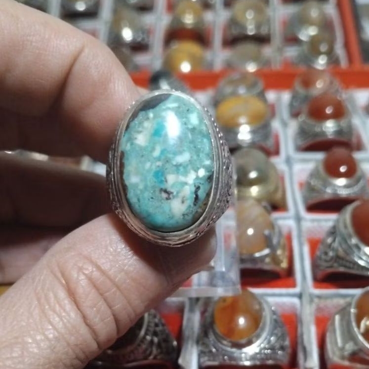 NATURAL PIRUS PERSIA JUMBO