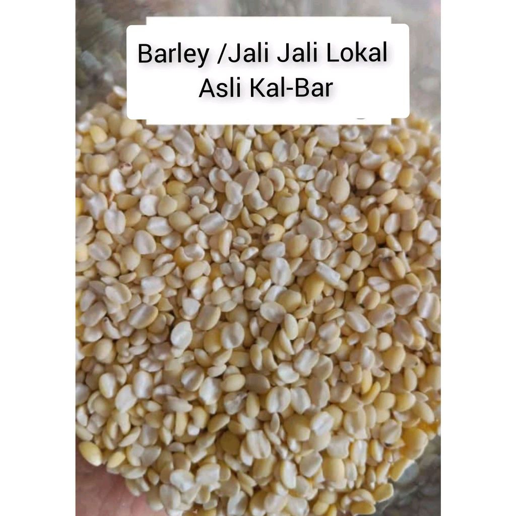 BARLEY Lokal (500g) Biji Jali Jali / ibi / iu bi / Jelai / Hanjeli / Anjeli / Pearl Barley / Barli /