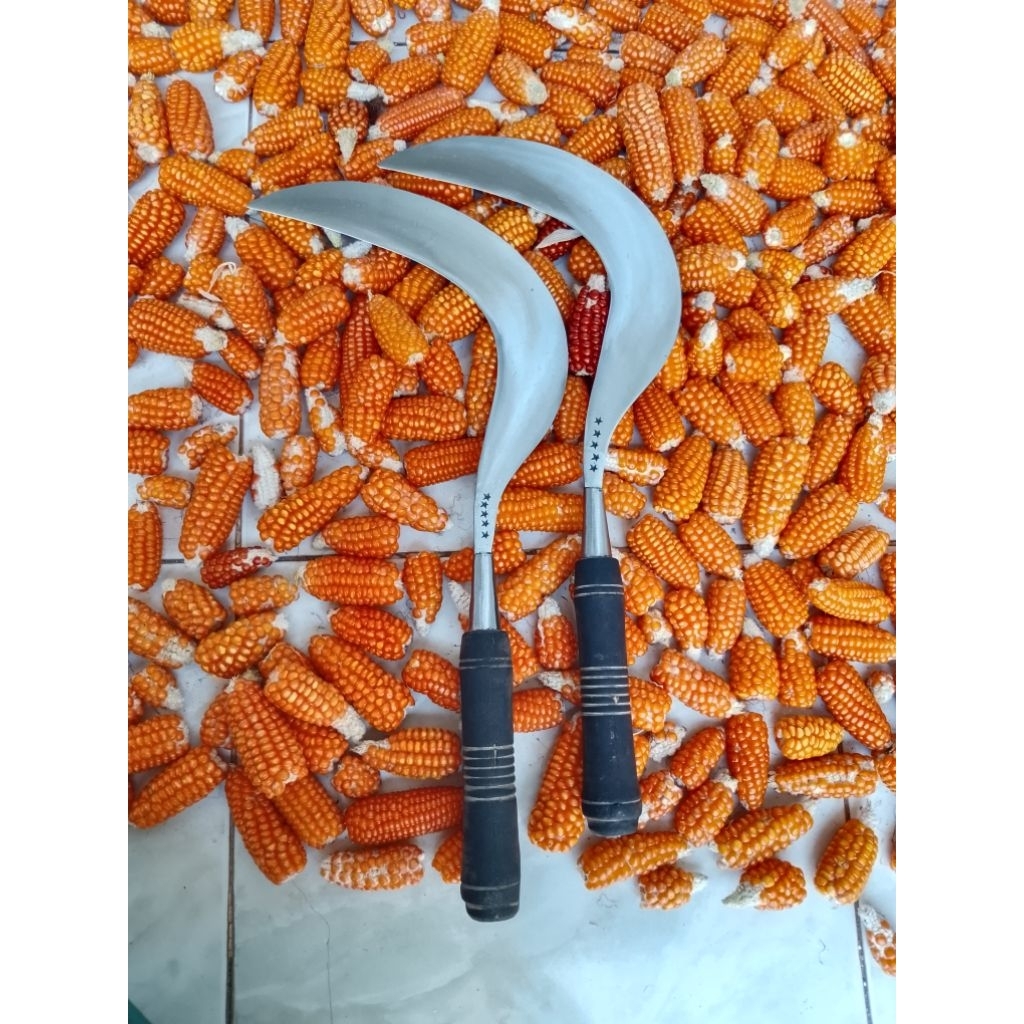 peralatan berkebun sabit rumput asli baja, alat tradisional, ori madura