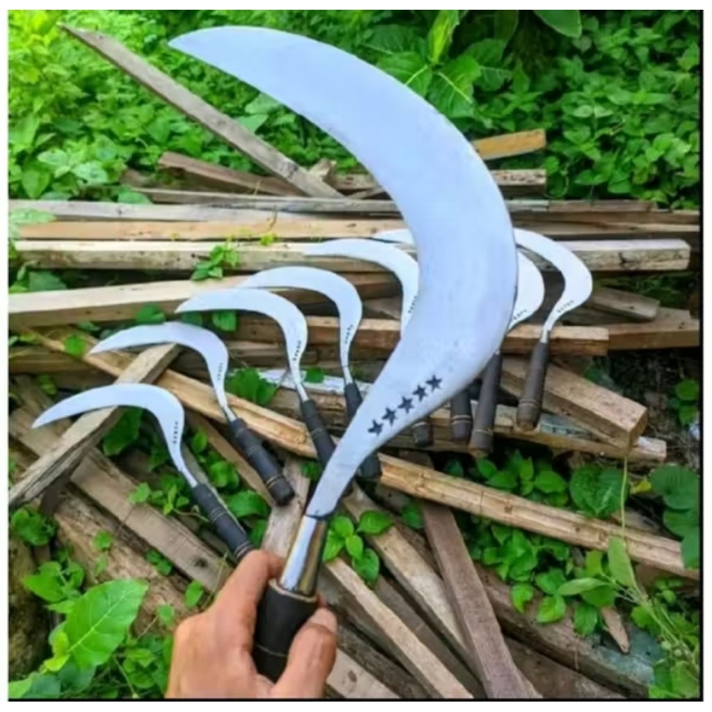 arit Rumput,Arit padi sabit Rumput khas madura cap bintang lima baja asli