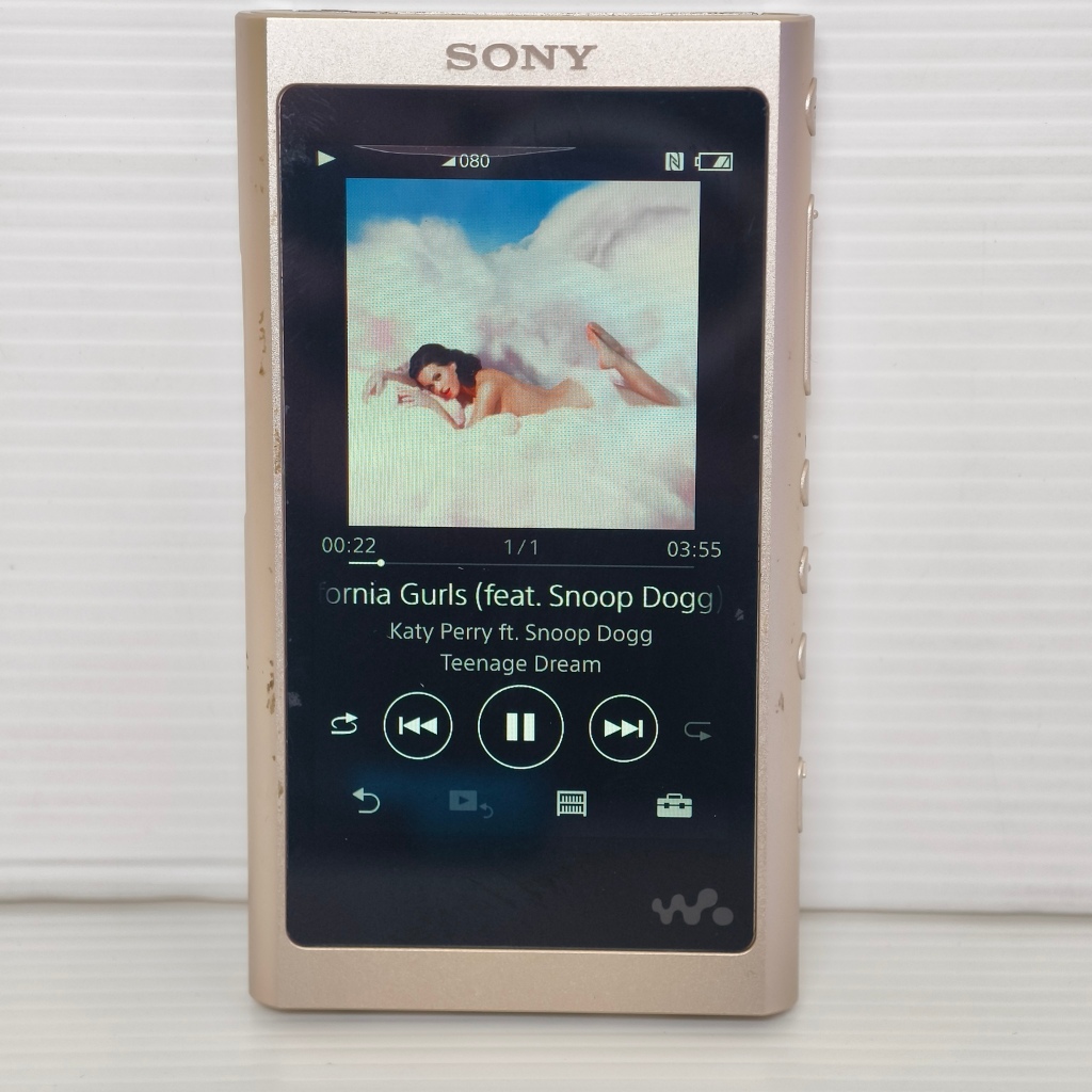 Sony Walkman NW-A55 DAP Digital Audio Music Player Musik