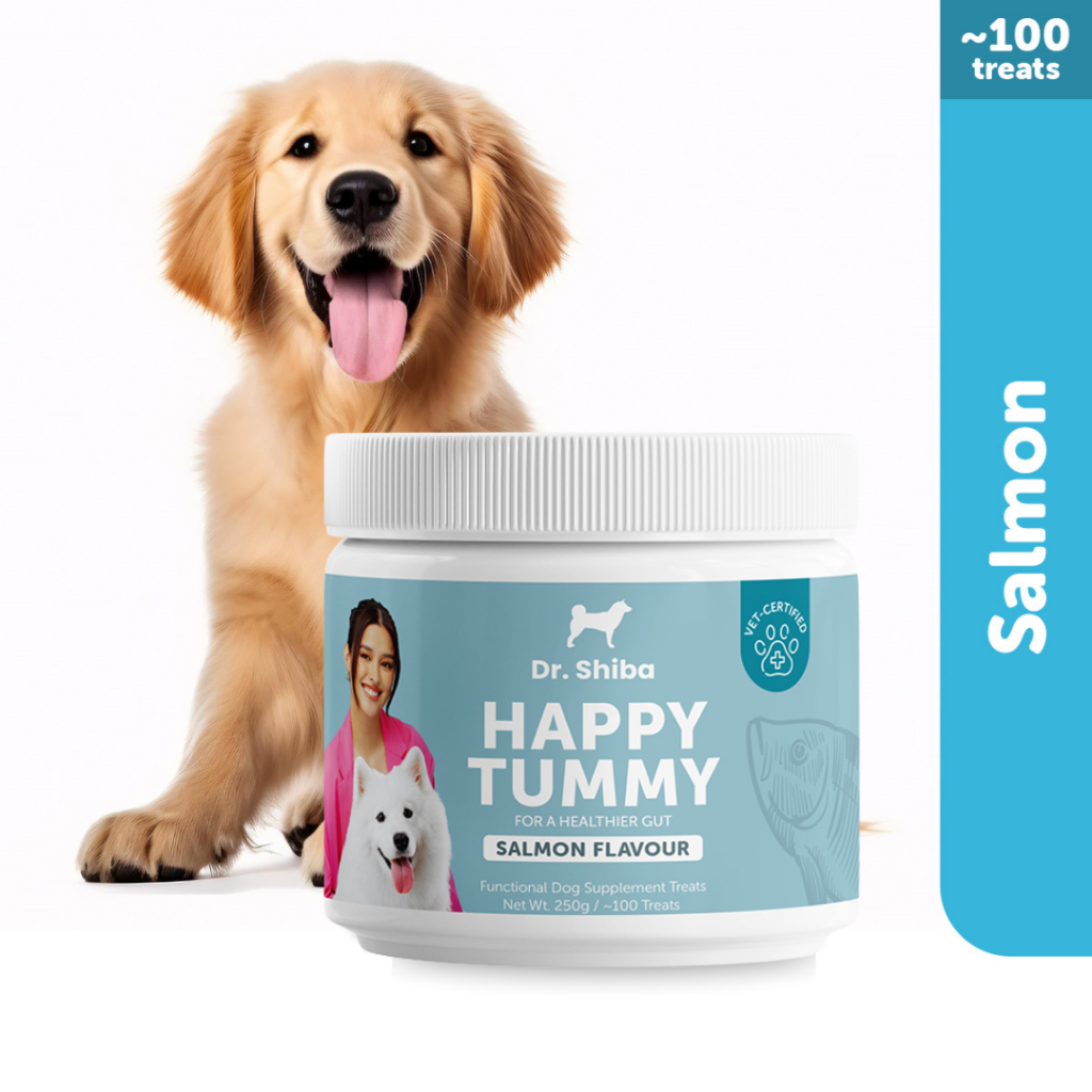 Dr. Shiba Happy Tummy | Suplemen Sehat untuk Kesehatan Pencernaan Anjing