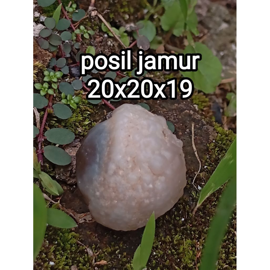 batu garut/batu bacan doko bacan palamea/batu akil