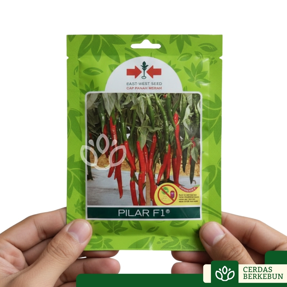 Cap Panah Merah Pilat F1 Benih Unggul Cabe Cabai Besar