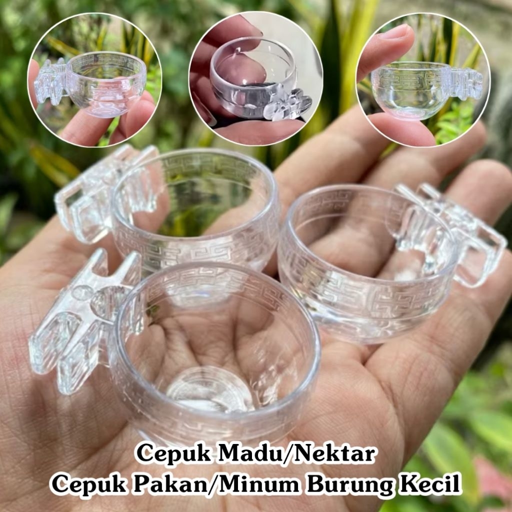 Cepuk Madu/Nektar | Cepuk Pakan/Minum Burung Kecil