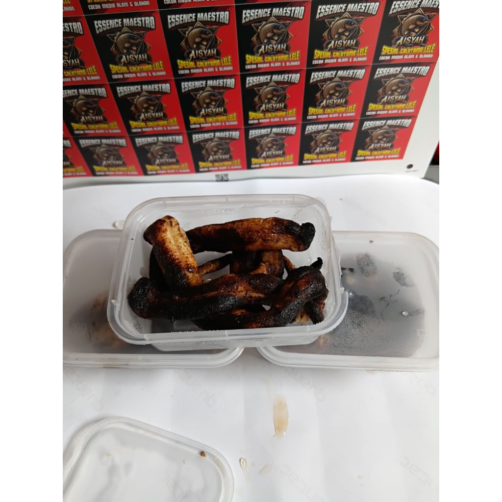 Otot bakar umpan galatama lele