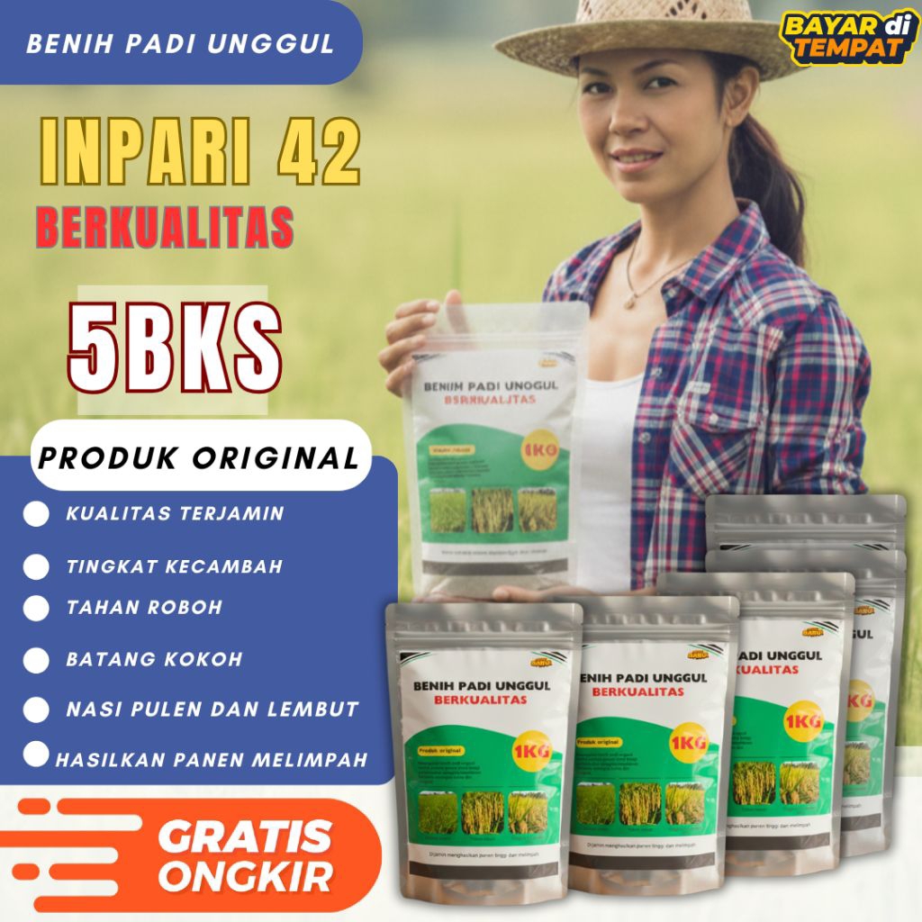 benih padi unggul Inpari 42 kemasan 5bks premium