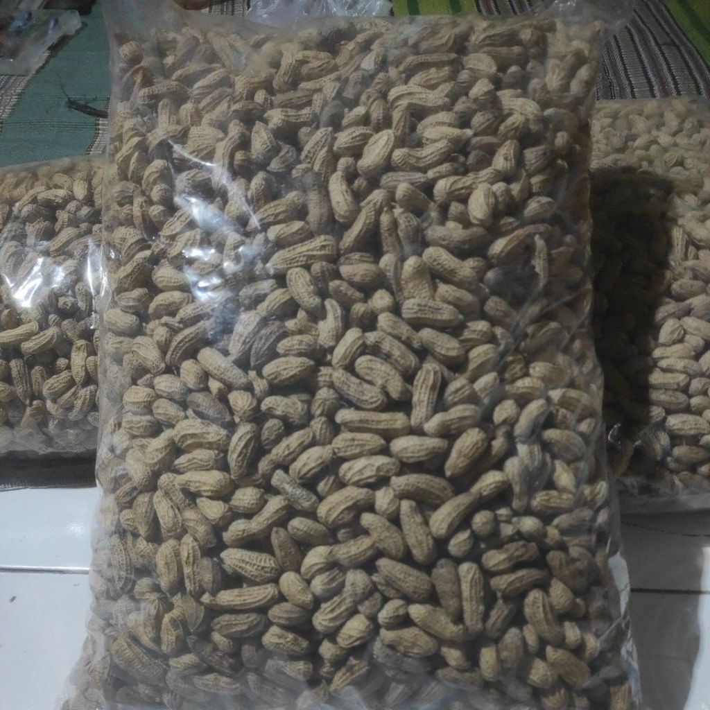 kacang kulit sangrai bendo 5kg