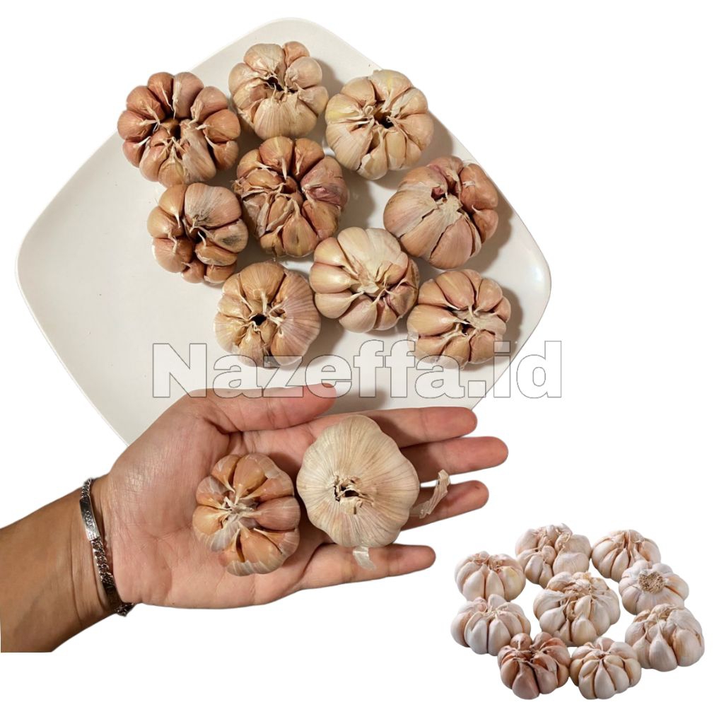 TERMURAH -  Bawang Putih Honan Berkualitas Super Berat 1kg Tahan Lama Kemasan Aman Cocok untuk masak