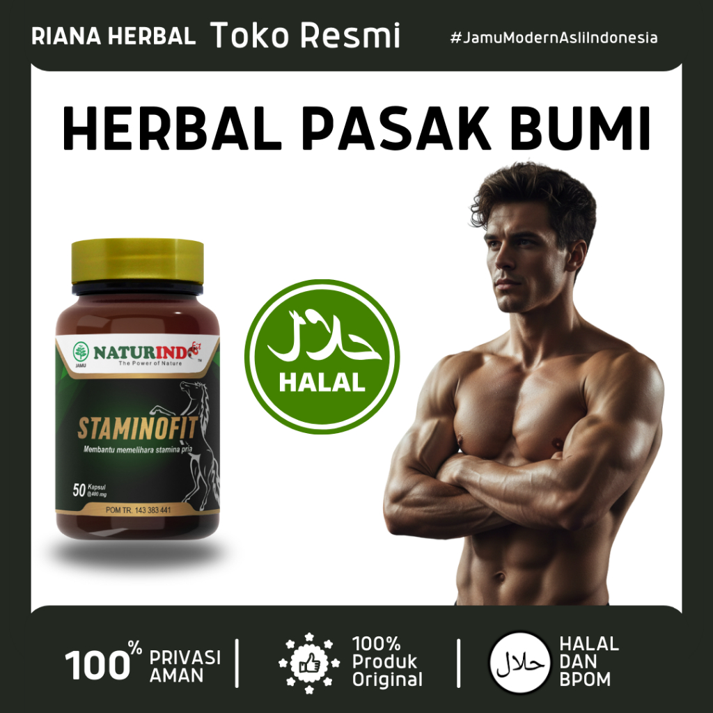 Obat Herbal Pasak Bumi Staminofit Naturindo Suplemen Pria Dewasa Membantu Memelihara Stamina Pria