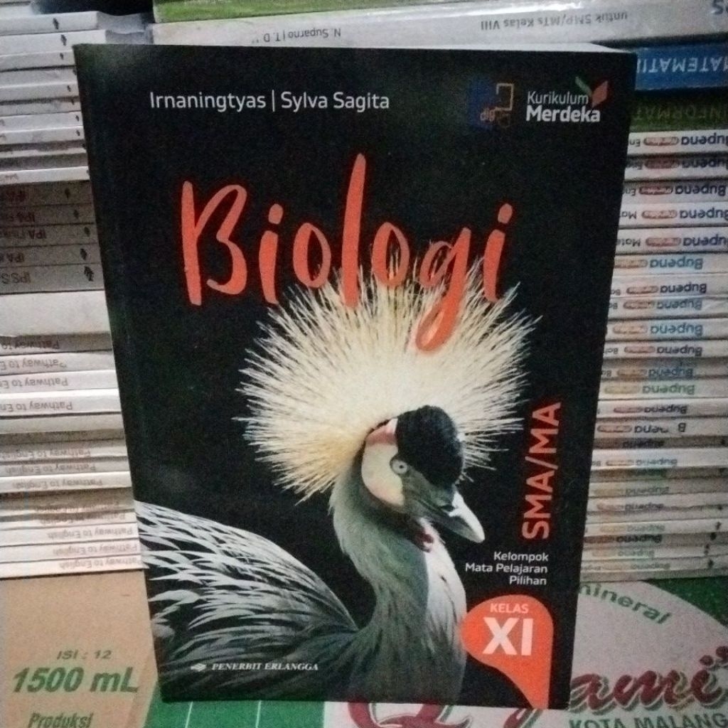 Buku bekas Biologi untuk SMA / MA kelas 11/ Xl Kurikulum merdeka erlangga