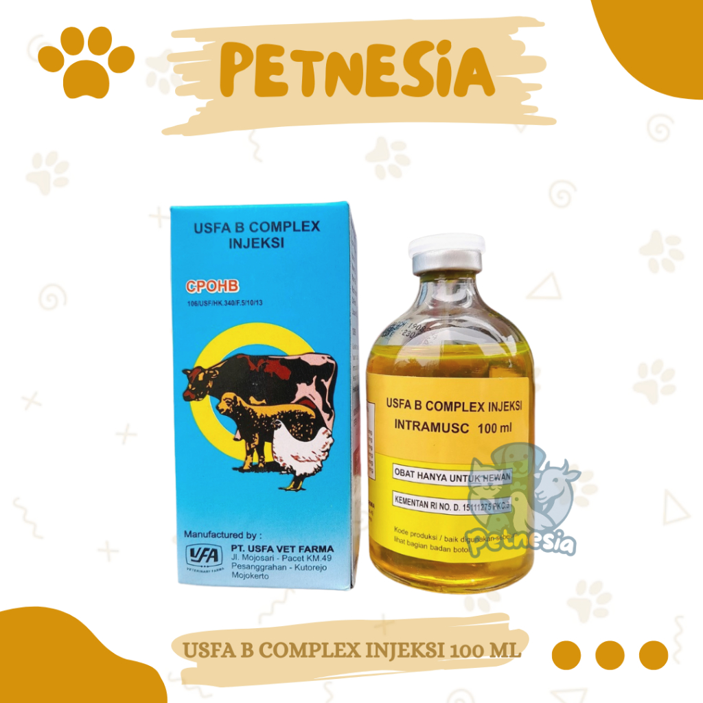 USFA B COMPLEX INJEKSI 100 ML - Vitamin B Kompleks Hewan Ternak