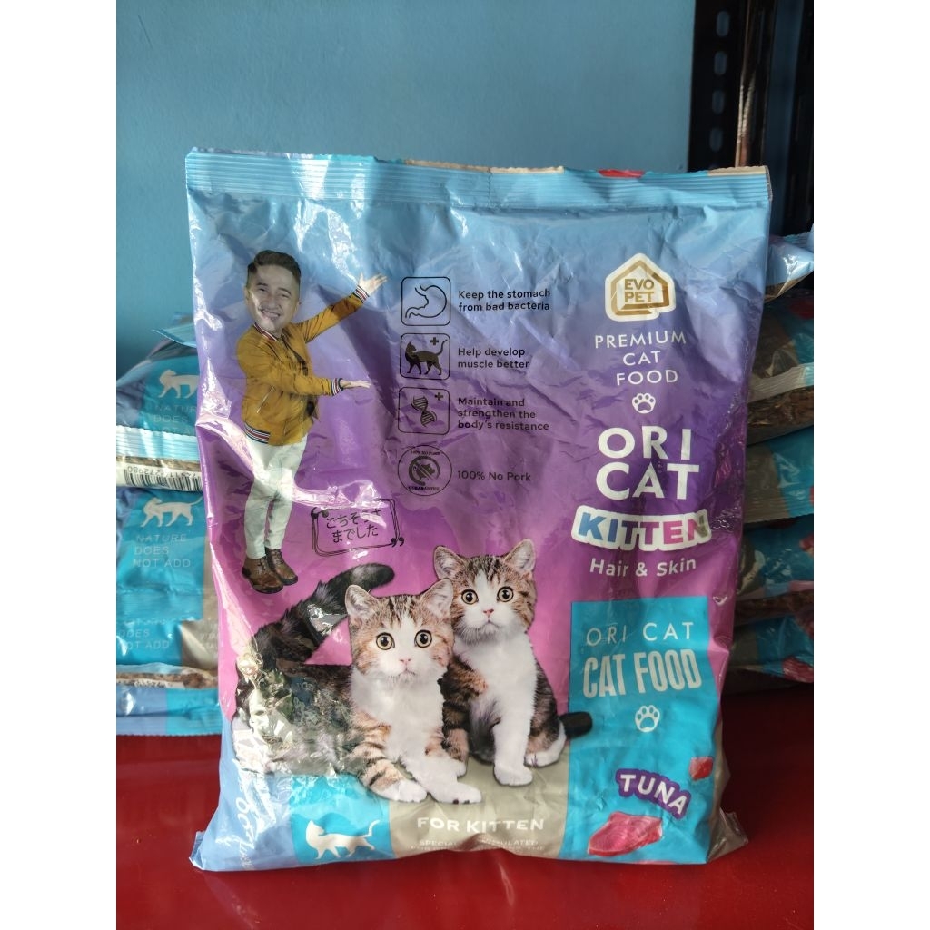 Ori Cat Kitten