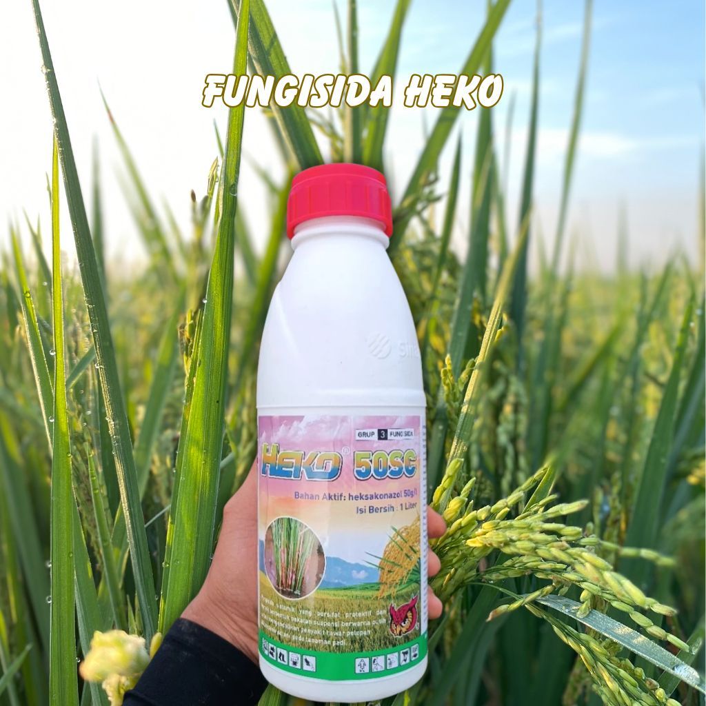 fungisida heko,dan fungisida fujiwan