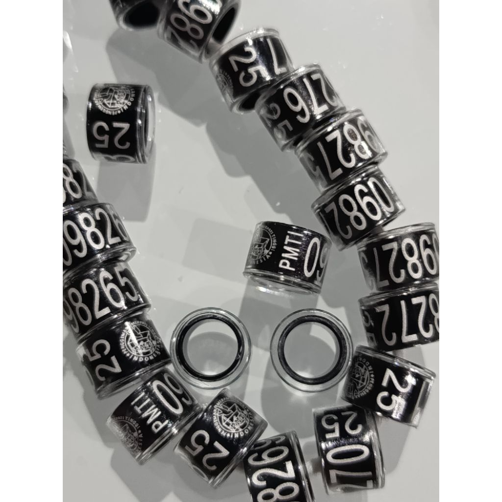 ring pmti 2025 original ring merpati