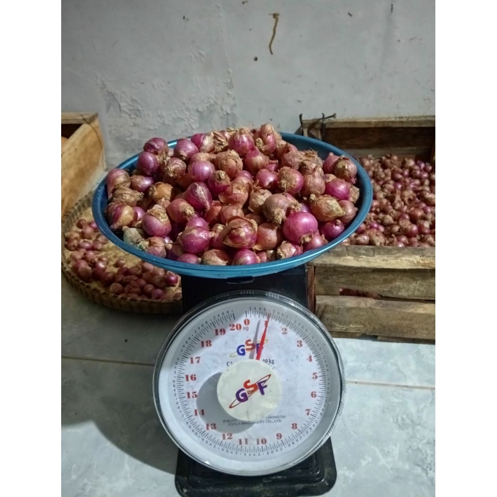BAWANG MERAH/BAWANG MERAH SUPER/BAWANG MERAH BATU