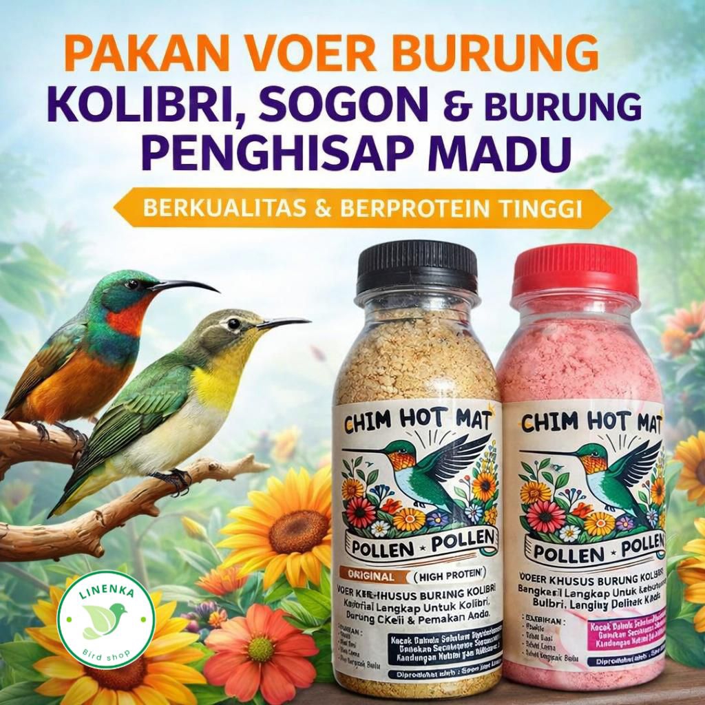 VOER PAKAN BURUNG KOLIBRI SOGON CHIM HOT MAT PAKAN PELET BURUNG KOLIBRI
