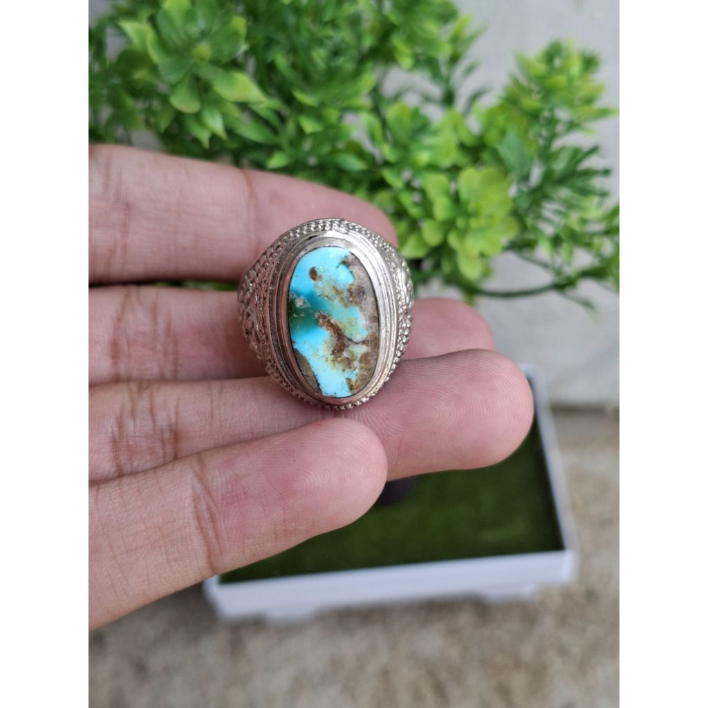 NATURAL PIRUS PERSIA DWI WARNA BIRU GRADASI HIJAU KEDONDONG