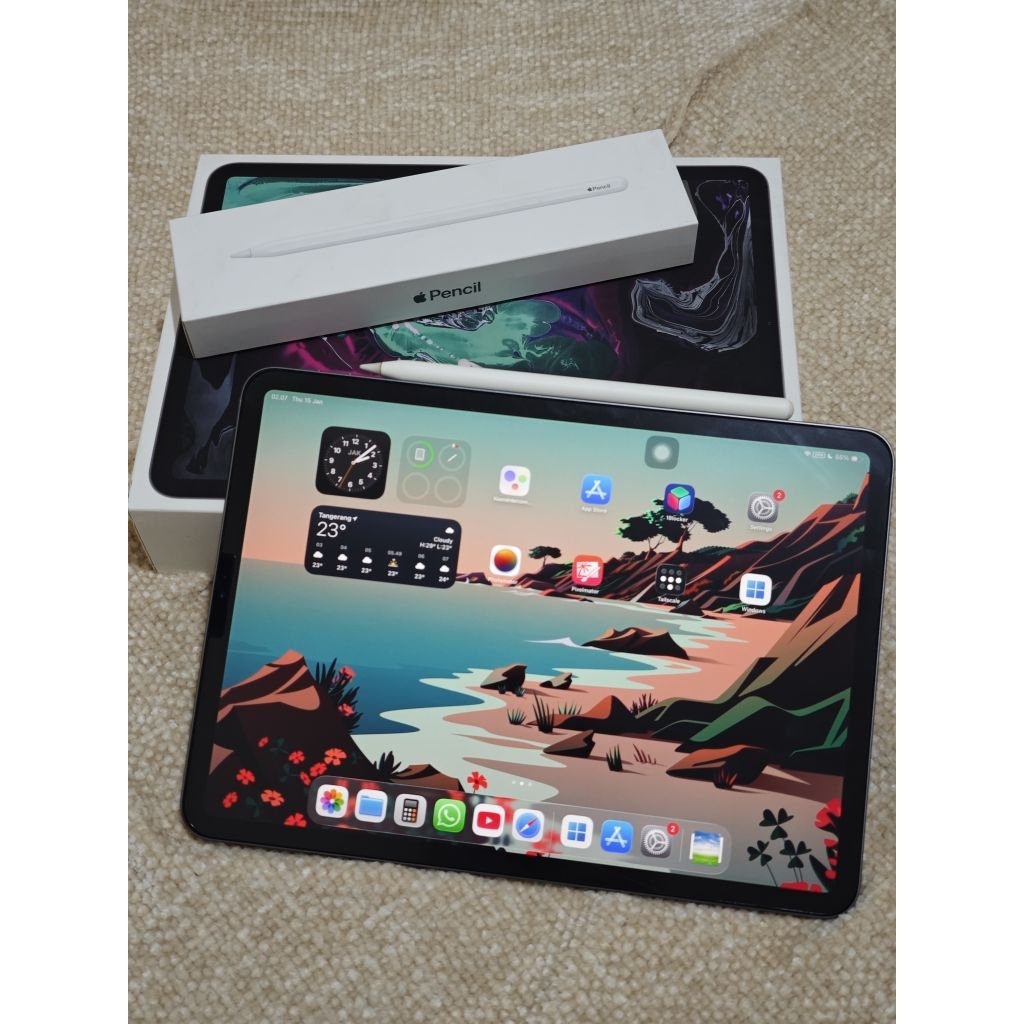 Apple iPad Pro 11 inch 2018 256gb wifi only Space Gray Second Mulus Istimewa