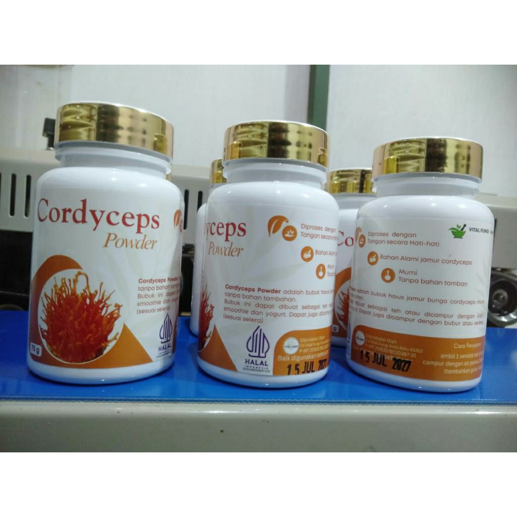 cordyceps powder 75 g, bunga jamur cordyceps militaris