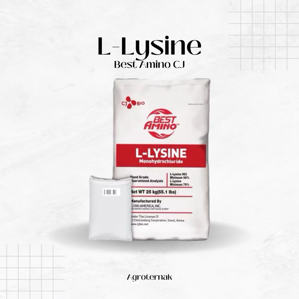 L-Lysine HCl Asam Amino Hewan Ternak