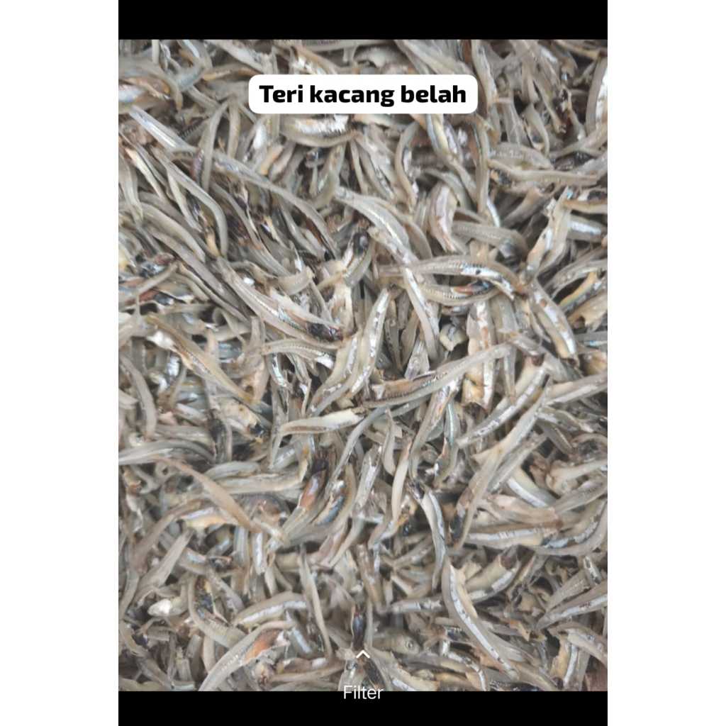 IKAN TERI KACANG BELAH MEDAN 1/4KG/IKAN TERI KACANG BELAH KHAS MEDAN 250GR