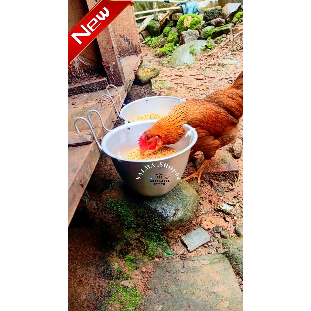 wadah pakan ayam 1pcs tempat pakan ayam bangkok