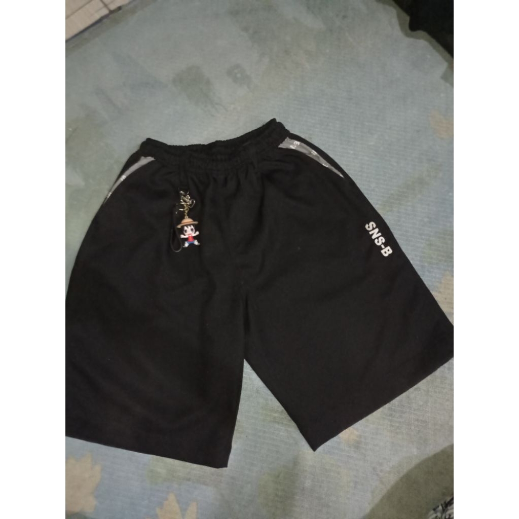 jorts snsb