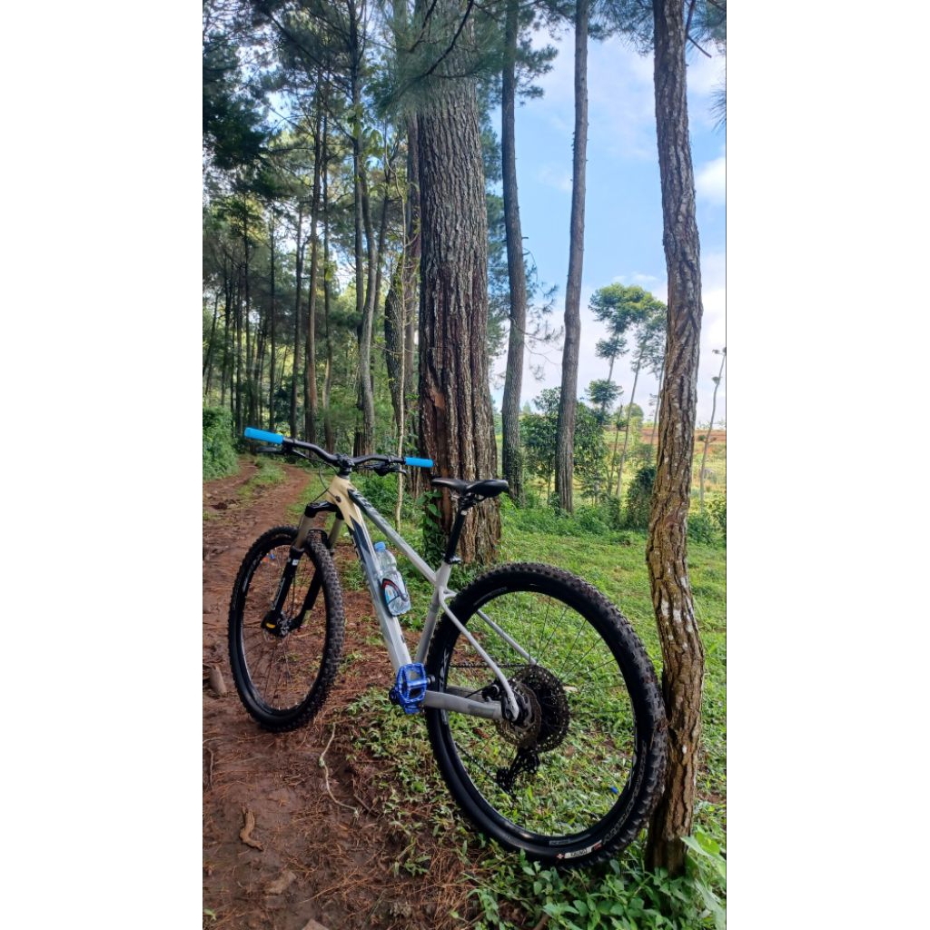 Sepeda Polygon Xtrada 6 29er