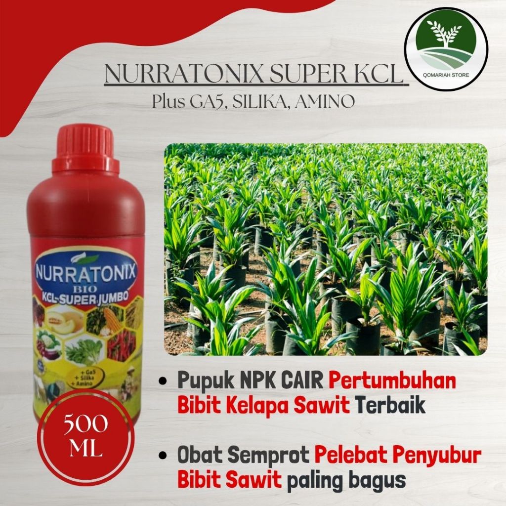 Pupuk Penyubur Bibit Sawit – Anti Kerdil & Lambat Tumbuh - NURRATONIX BIO KCL Pupuk Bibit Kelapa Saw