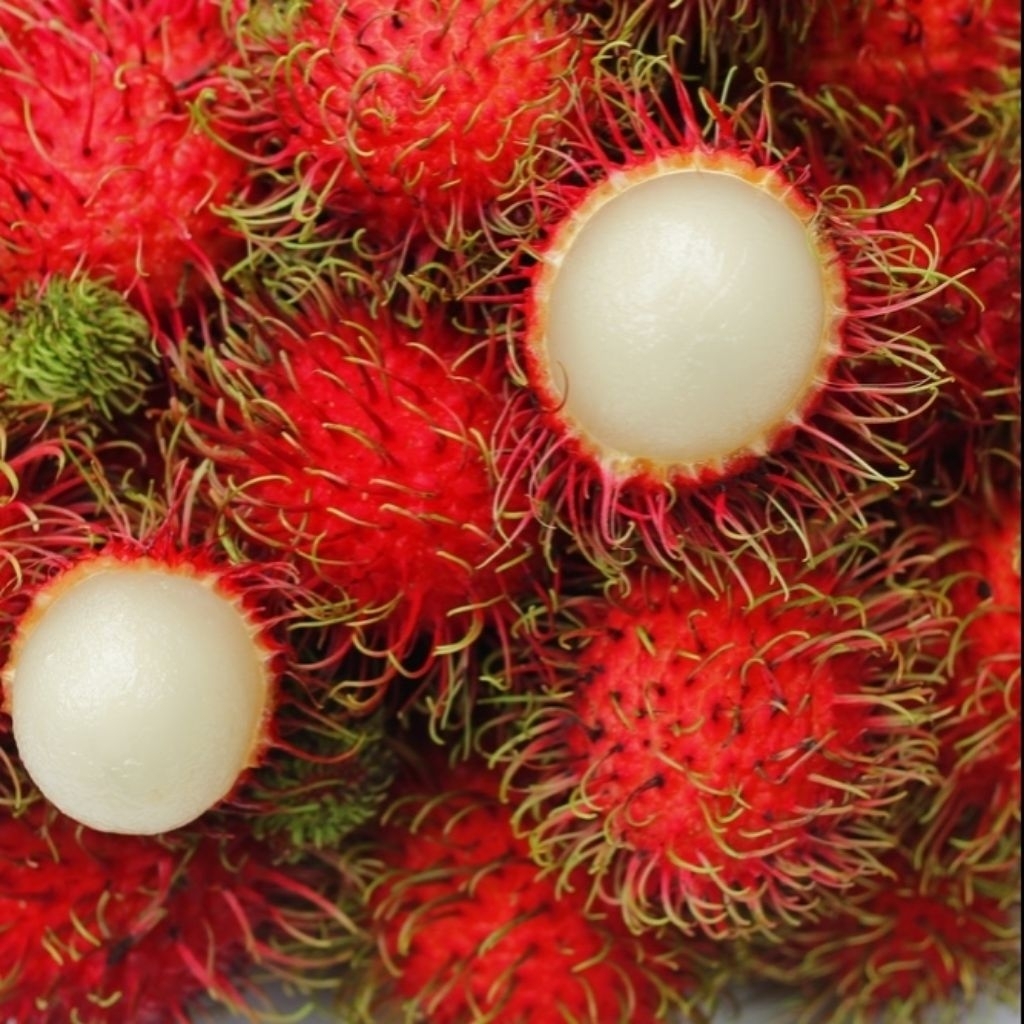 Buah Rambutan Binjai 1 Kg