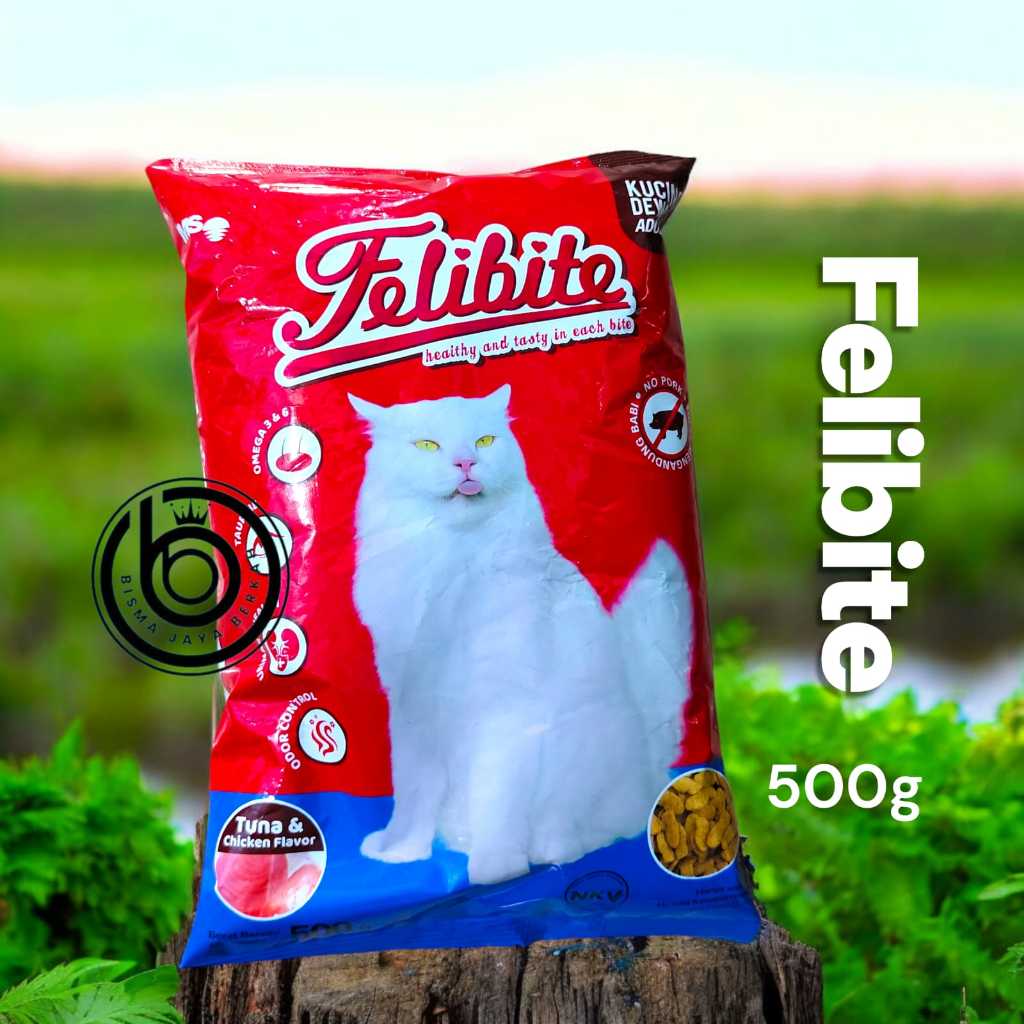 PAKAN KUCING FELIBITE
