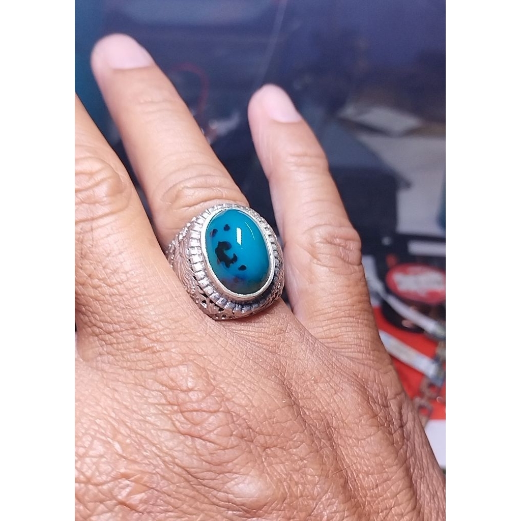 Bacan Doko totol coklat body mumbul