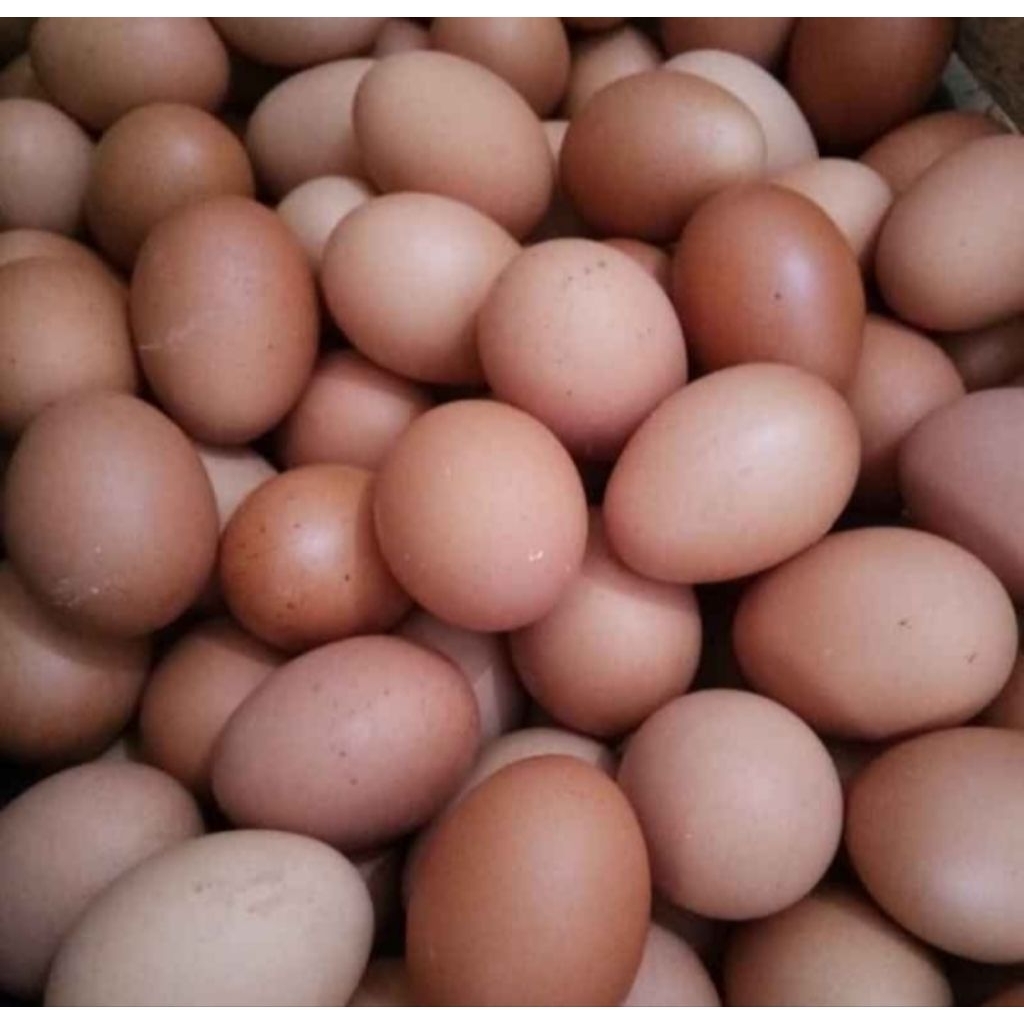 Telur Ayam 1 kg