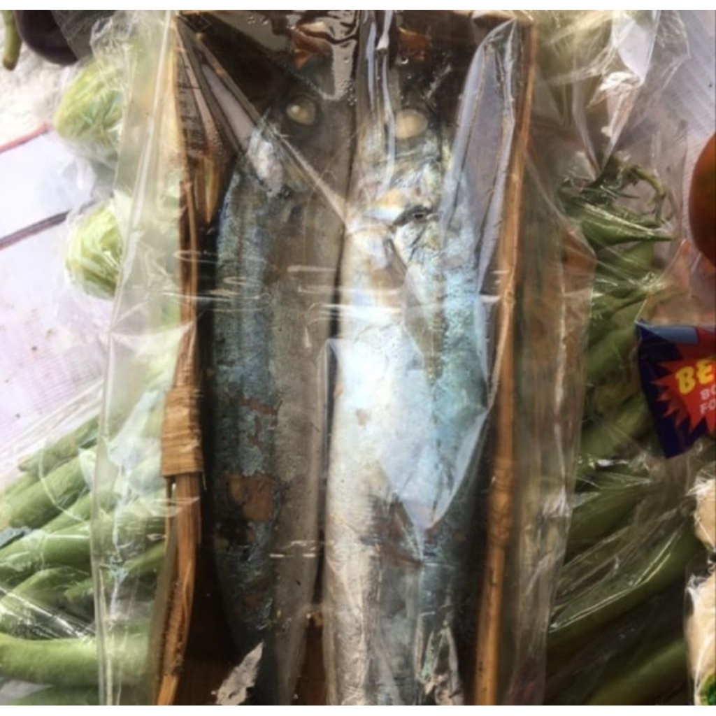 ikan cue keranjang (segar) / cue pindang