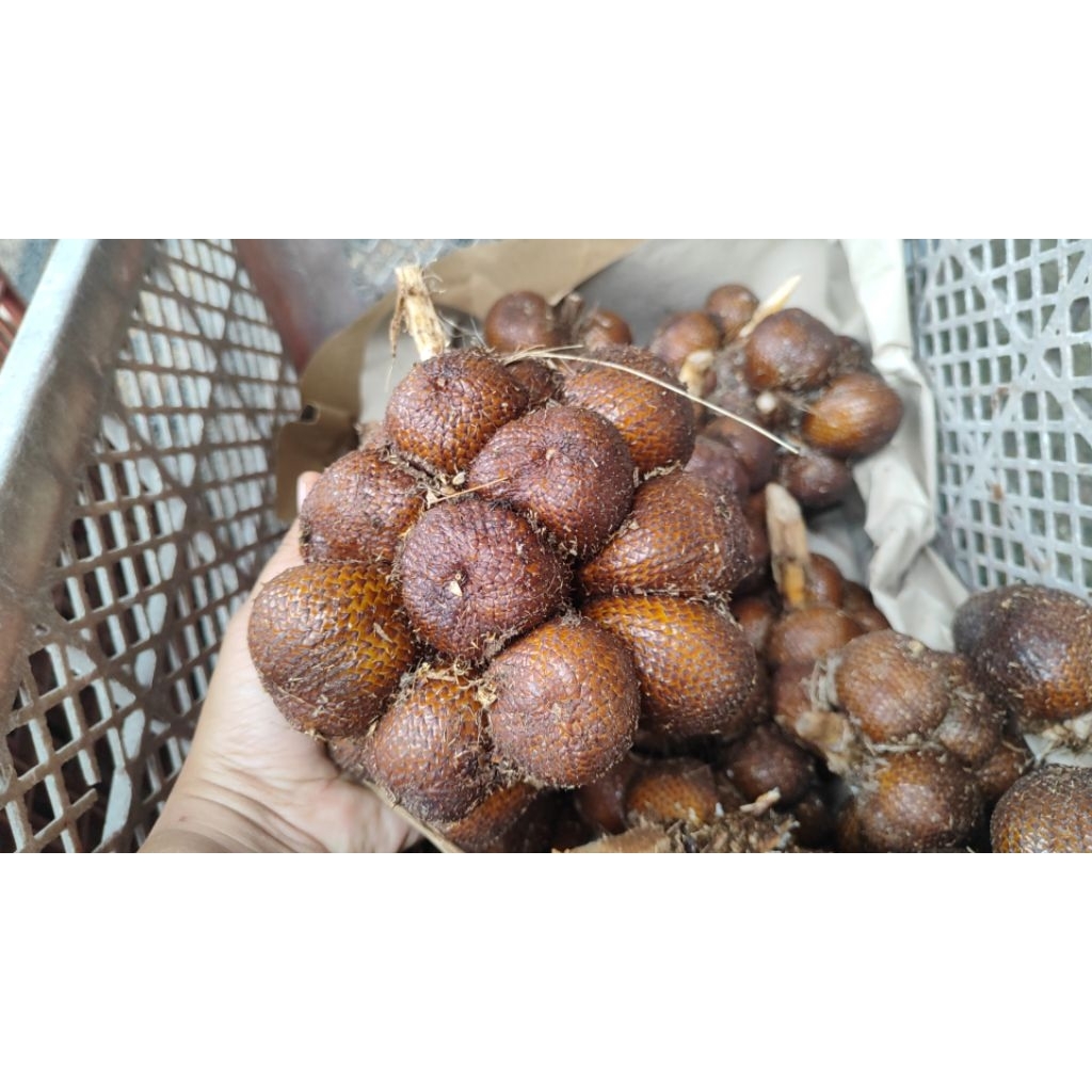 salak gula pasir