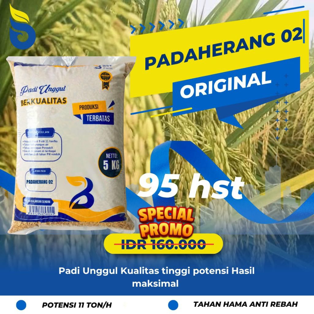 Benih padi unggul Padaherang 02 5kg
